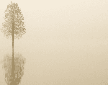 Stillness and Silence