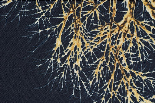 Love Thy Neighbour: What Christian Teachings Say About Flourishing Communities